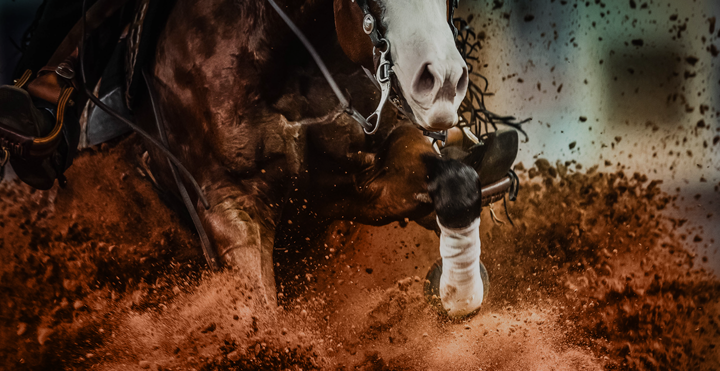 Snip O Gun Joins Elite NRHA Million Dollar Dam Club