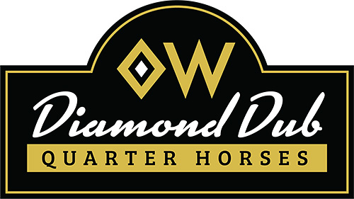 Diamond Dub Quarter Horses logo