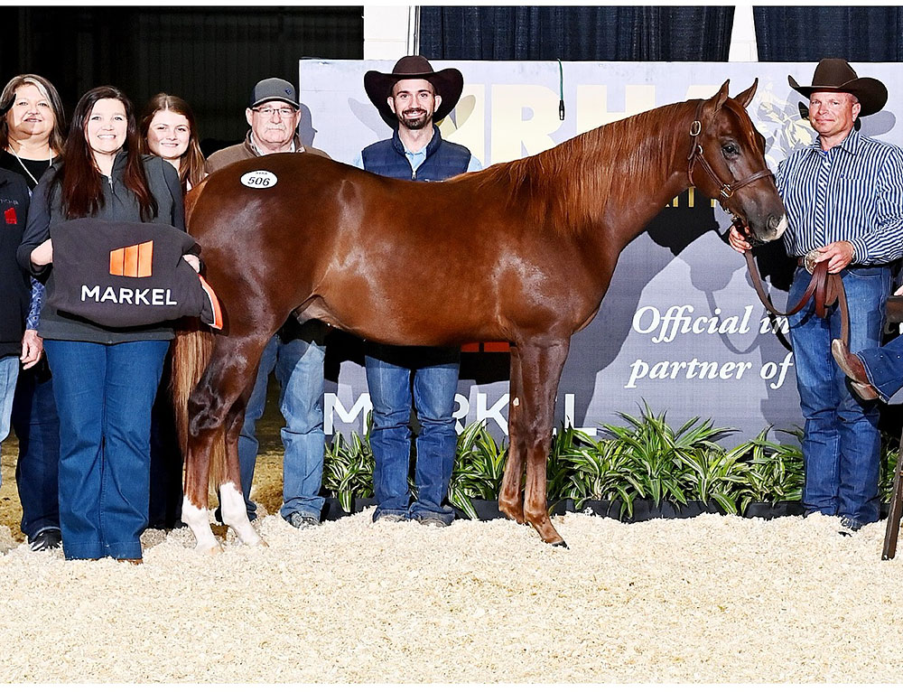 Horse, TR Gunna Bring It at a sale